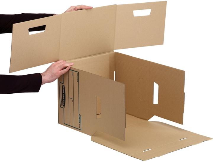 Actual product image Fellowes 1x10 Earth hinged lid box cube (A4)
