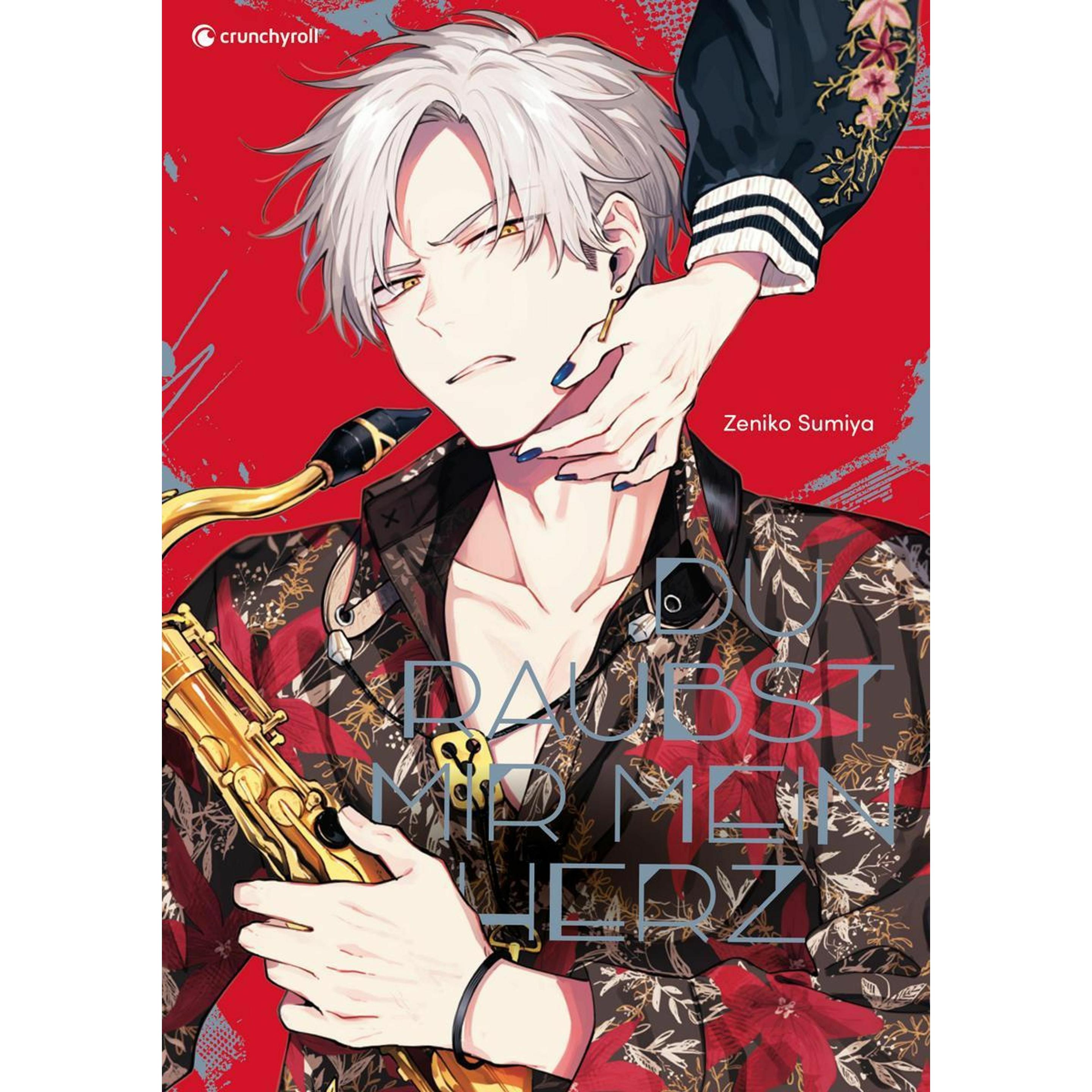 Du raubst mir mein Herz, Belletristik von Zeniko Sumiya