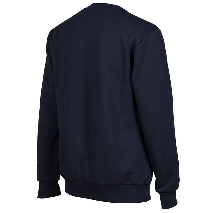 Actual product image Arena Crew Sweat Solid (L)