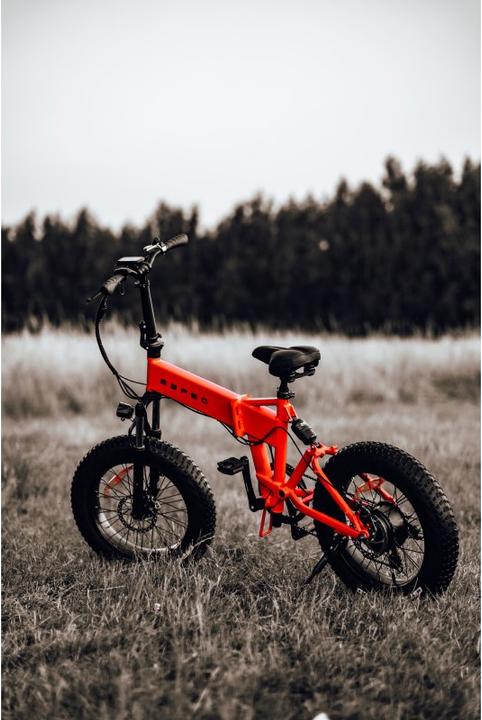 Produktbild Ebfec Black Hawkred (38 cm)