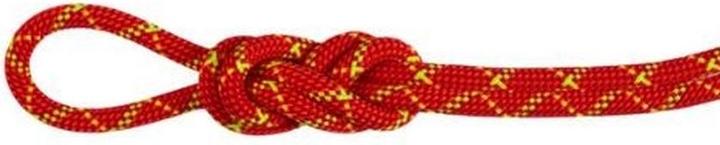 Produktbild Mammut 8.0 Alpine Core Protect Dry Rope (60 m)