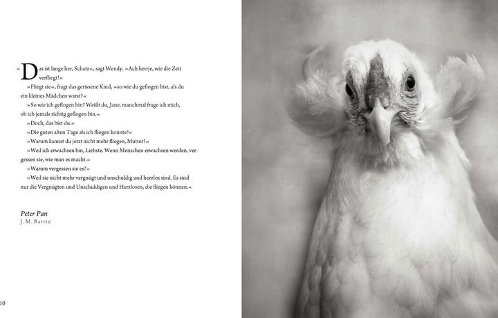 Produktbild Literarische Hühner (Deutsch, Beth Moon, 2018)