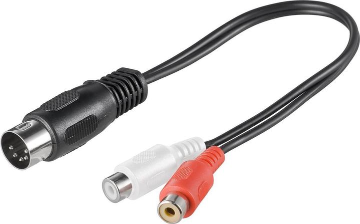 Goobay AVK 102-020 (0.20 m, Cinch, Extension)