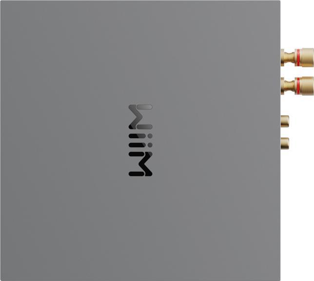 Immagine prodotto WiiM Suono LPWISND (Google Assistant, Apple Siri, Amazon Alexa)