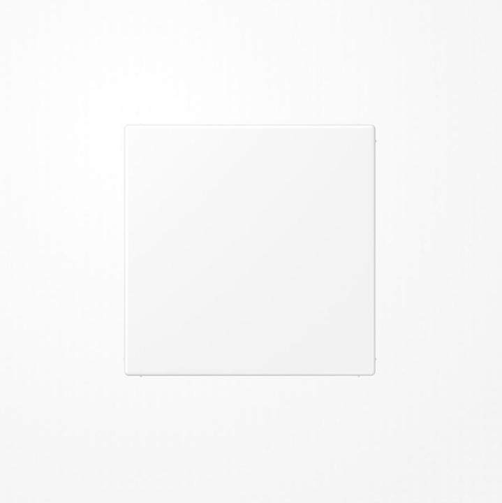 Actual product image JUNG Blanking plate LS ws mt LS994BWWM