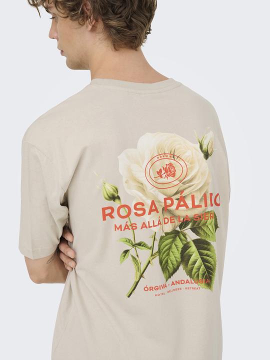 Produktbild Only & Sons Onsfrank Rlx Ss Tee Noos (XS)