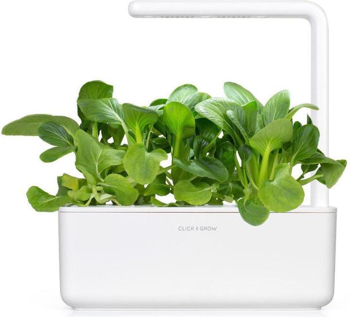 Produktbild Click and Grow Saatgut Pak Choi (Gemüsesamen)
