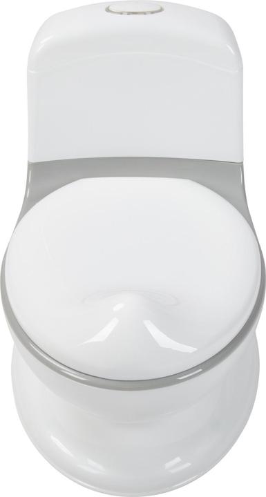 Actual product image Baby Dan Children's potty with flushing sound