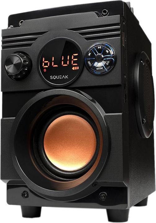 Produktbild Squeak Głośnik Bassblaster Bluetooth 5.1 Radio Fm Odtwarzacz Mp3 Sq1001 (7 h)