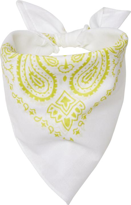 Image du produit Masterdis bandana