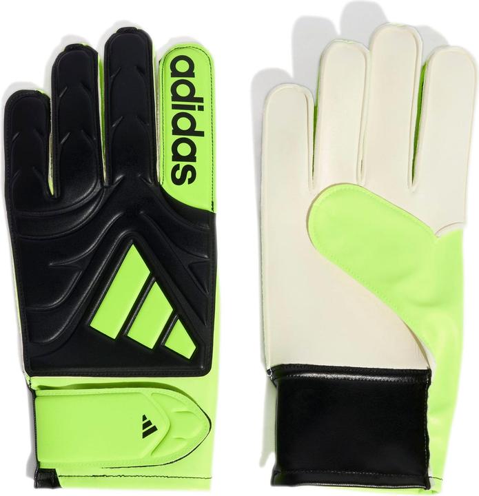 Produktbild Adidas Copa Club Torwarthandschuhe