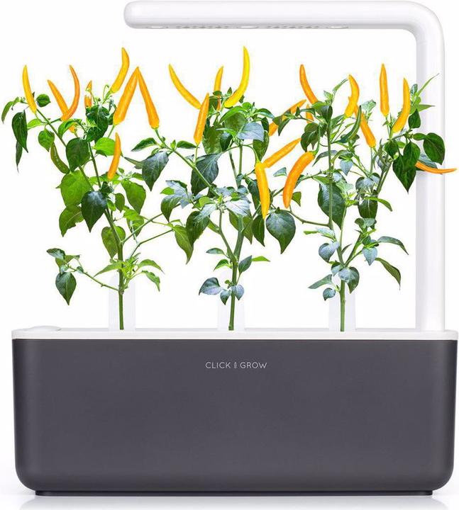 Immagine prodotto Click and Grow Semi Peperoncino giallo (Semi di verdura)