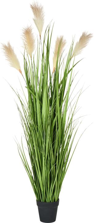 Image du produit Beliani Grass (130 cm)