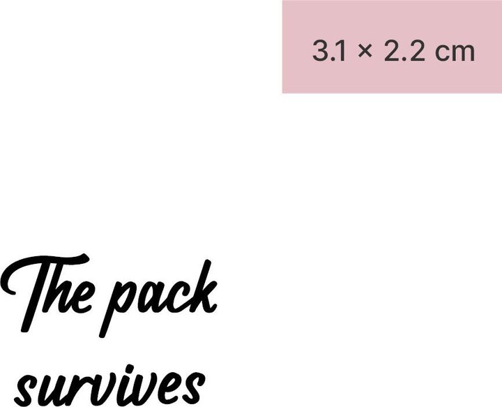 Actual product image minink Temporary tattoo - The pack survives