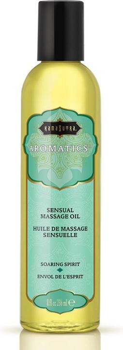 Image du produit Kamasutra Aromatiques (236 ml)