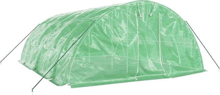 Actual product image vidaXL Gewächshaus