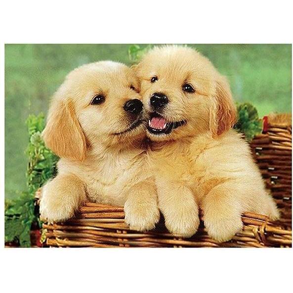 Norimpex 5D-Diamantmosaik - Hunde 40x30cm