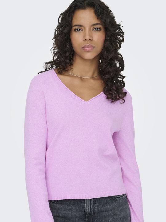 Actual product image Only Onlloyal Life Ls V-Neck Pullo Knt Noos (XS)