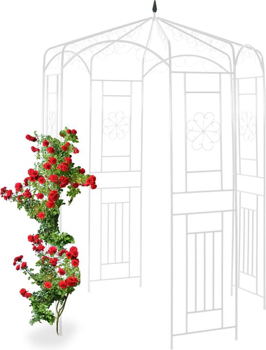 Relaxdays Rosenpavillon (160 cm, 160 cm)