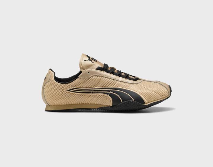 Puma Noir, Puma or