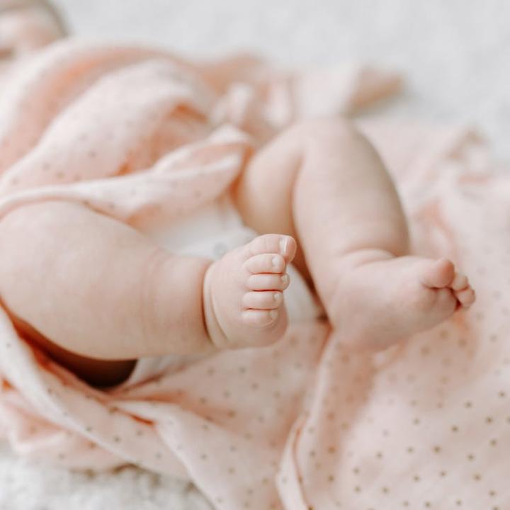 Produktbild aden + anais Swaddles (120 cm, 120 cm)