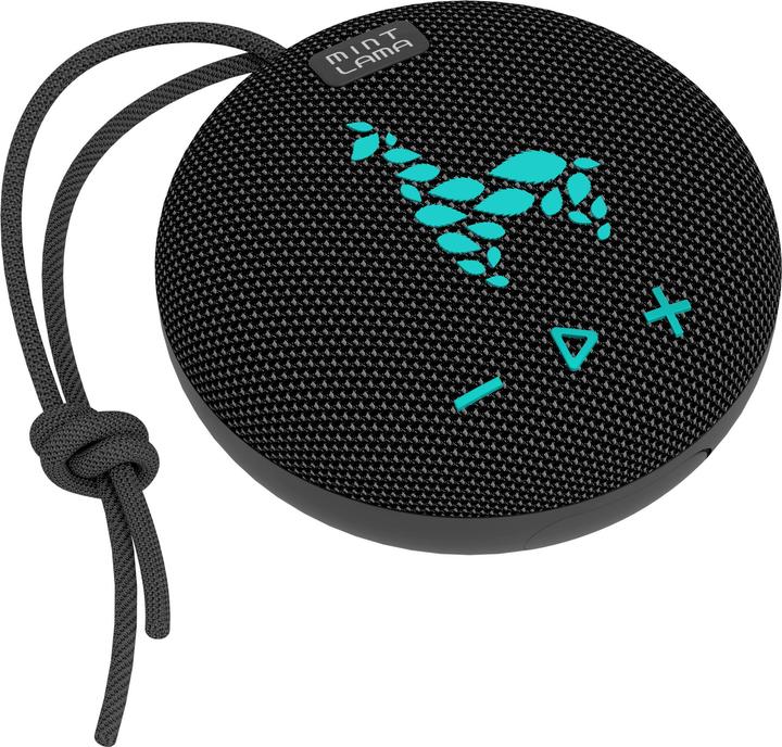 Actual product image Mint Lama Lamabeat 1 (4 h)