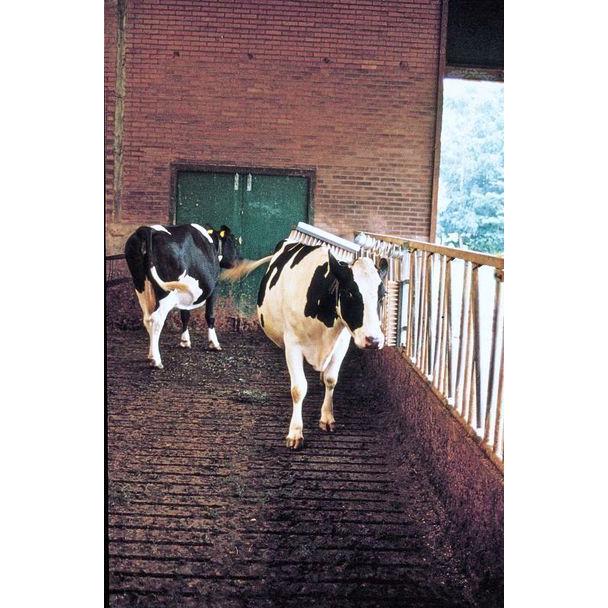 Brosse pour bovins étable à logette Vink