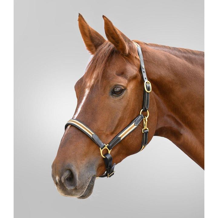 Immagine prodotto Waldhausen X-Line Oxford