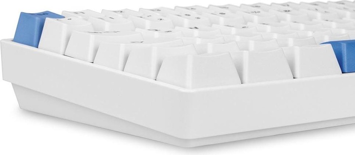 Produktbild Sharkoon Skiller SGK50 S3 PBT (DE, Kabelgebunden)