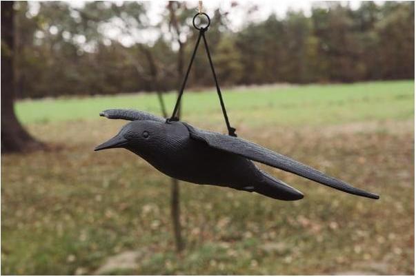 Actual product image Bradas Bird repellent