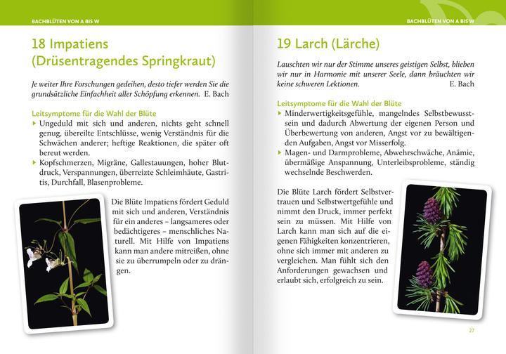 Produktbild Heilen mit Bachblüten. Das Kartenset (Deutsch, Anna E. Röcker, 2024)