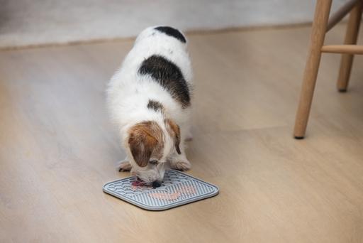 Image du produit Karlie Tapis à lécher Ava (Jouet d'occupation chien)