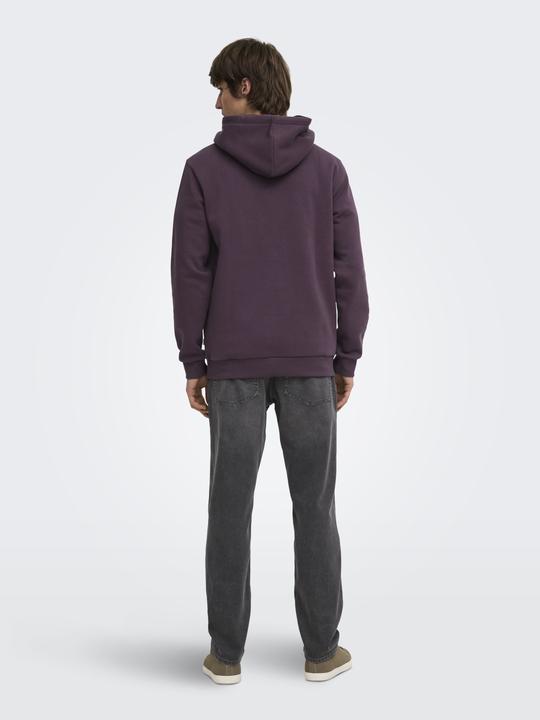 Image du produit Only & Sons Onsceres Hoodie Sweat Noos (XS)