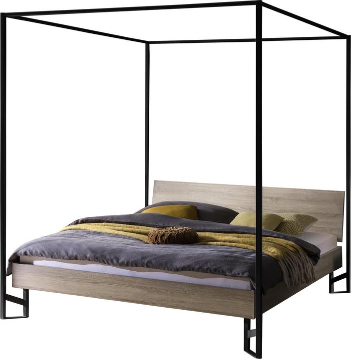 Hasena Ciluna 20 (160 x 200 cm)