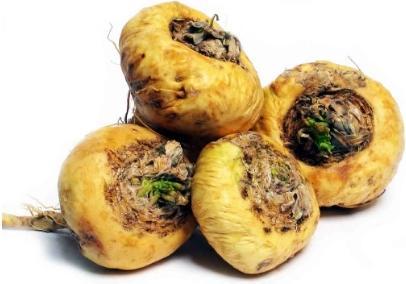Actual product image Sembrador Maca Organic Plv (266 g)
