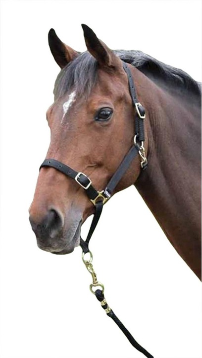 Produktbild Shires Pferdehalfter