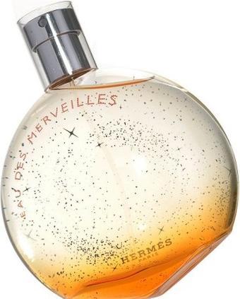 Hermès Eau Des Merveilles (Eau de Toilette, 100 ml)