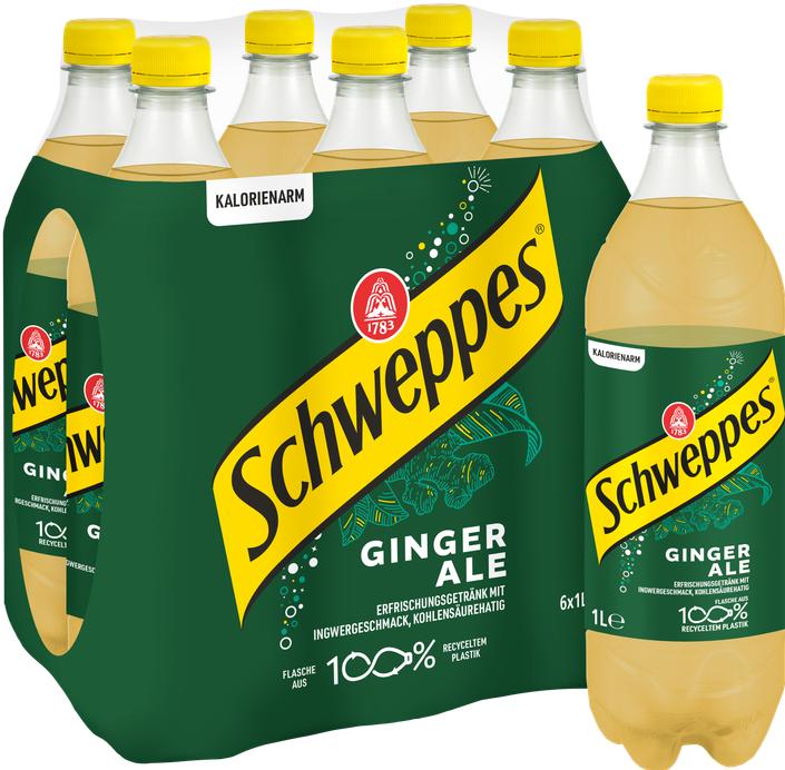 Actual product image Schweppes Ginger Ale (6 x 100 cl)