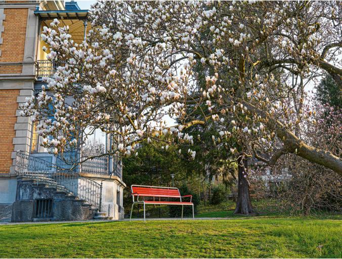 Produktbild Schaffner Rigi