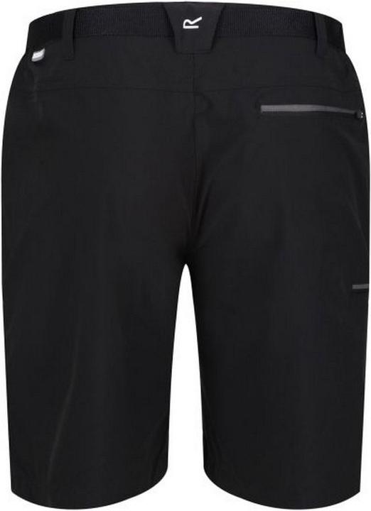 Actual product image Regatta Xert Iii Shorts (54)