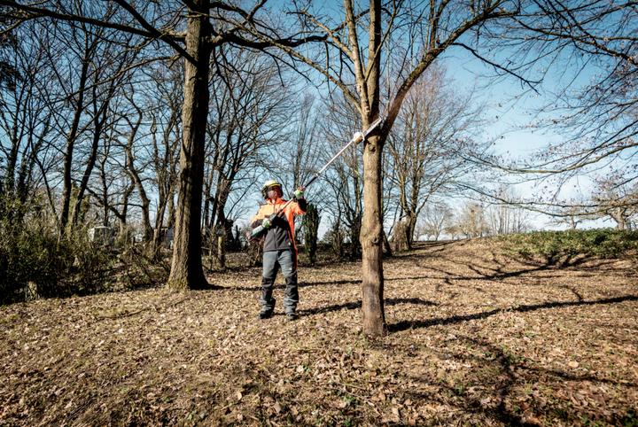 Productafbeelding Metabo MA-MS 25 (Accu kettingzaag)