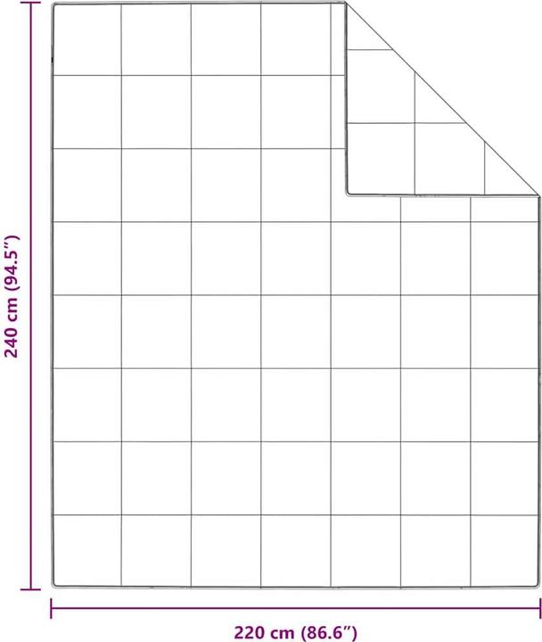 Immagine prodotto vidaXL Sommerdecke (2300 g, Piuma, 220 x 240 cm)
