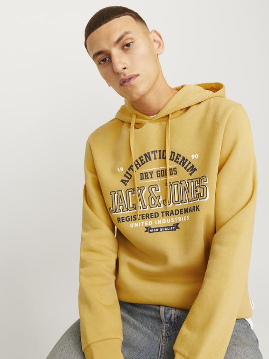 Produktbild Jack & Jones JJELOGO SWEAT HOOD 2 COL 24/25 NOOS (S)