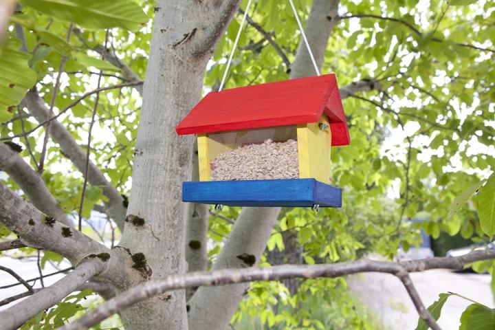 Produktbild Windhager Woodpecker