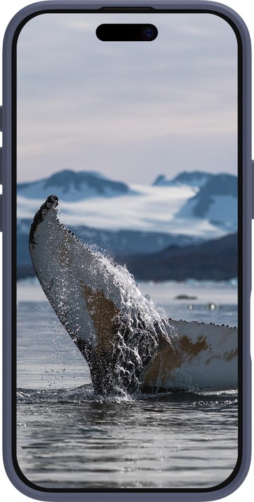 Image du produit dbramante1928 Greenland (Apple iPhone 16 Pro)