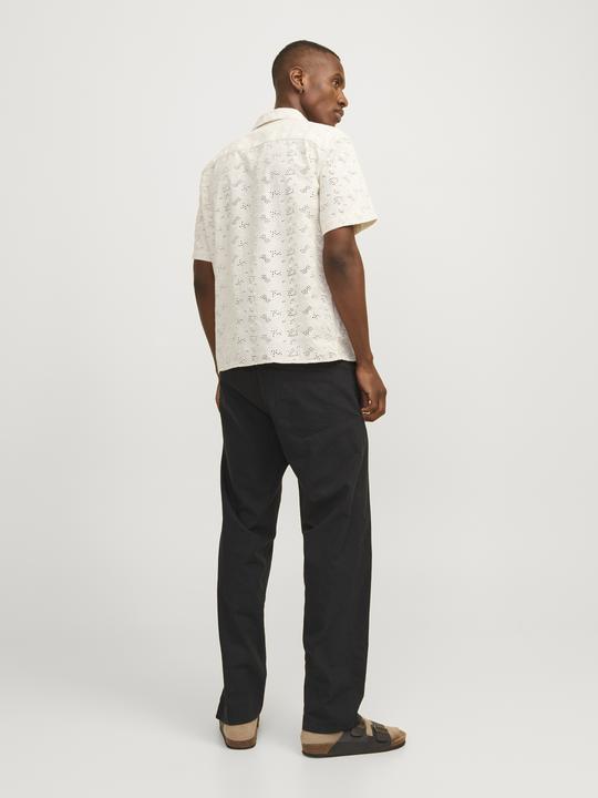 Actual product image Jack & Jones Jpstkane Jjsummer Jogger Sn (L)