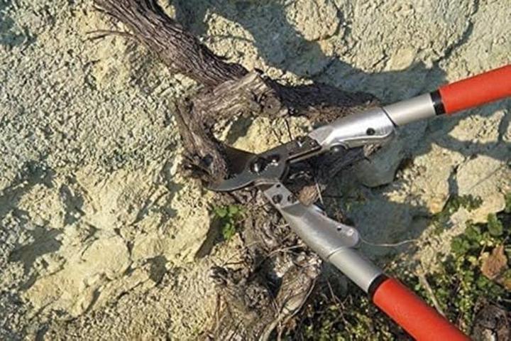 Actual product image Felco 200A-60 Lopping shears