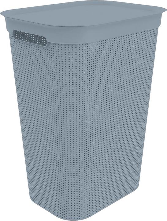 Actual product image Rotho Brisen (50 l)