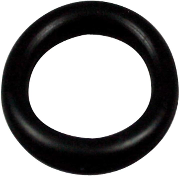 SW-Stahl O-ring