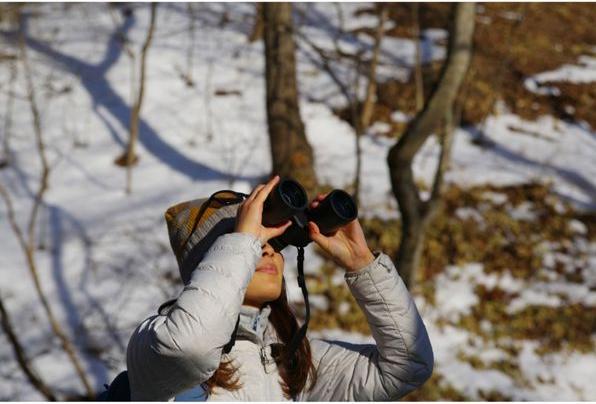 Immagine prodotto Pentax Binocolo Jupiter 12x50 (12 x, 50 mm)